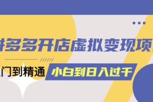 拼多多开店虚拟变现项目：入门到精通 从小白到日入1000（完整版）6月13更新