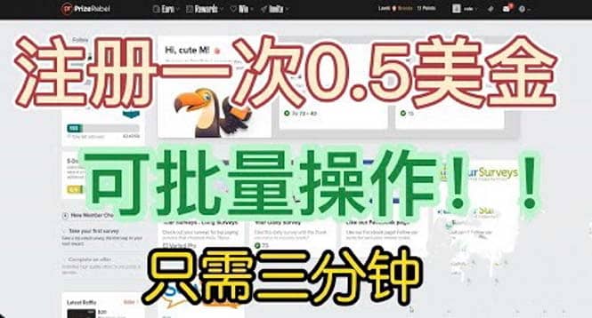 国外项目注册一次0.5美金 只需三分钟无脑操作 可批量放大 小白工作室福利插图