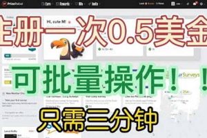 国外项目注册一次0.5美金 只需三分钟无脑操作 可批量放大 小白工作室福利