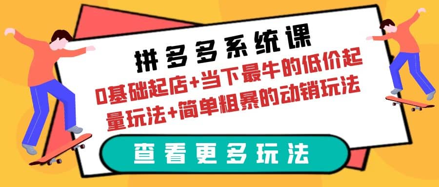 拼多多系统课：0基础起店 当下最牛的低价起量玩法 简单粗暴的动销玩法插图