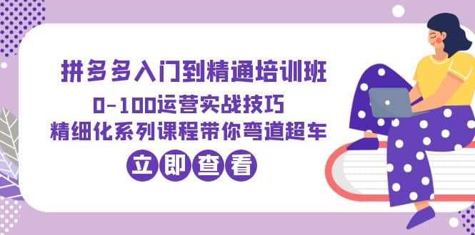 2023拼多多入门到精通培训班：0-100运营实战技巧 精细化系列课带你弯道超车插图